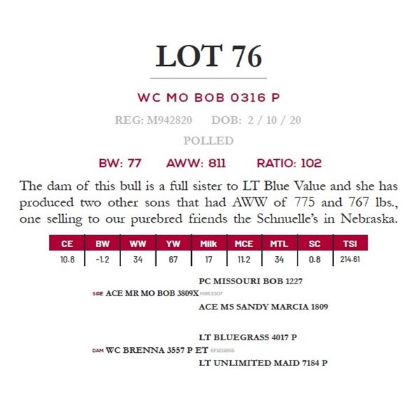 WC MO BOB 0316 P