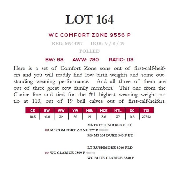WC COMFORT ZONE 9556 P