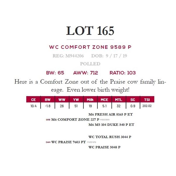 WC COMFORT ZONE 9589 P