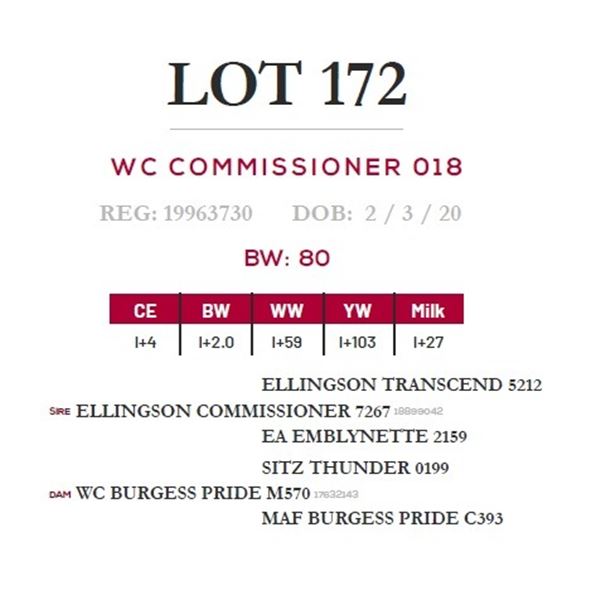 WC COMMISSIONER 018