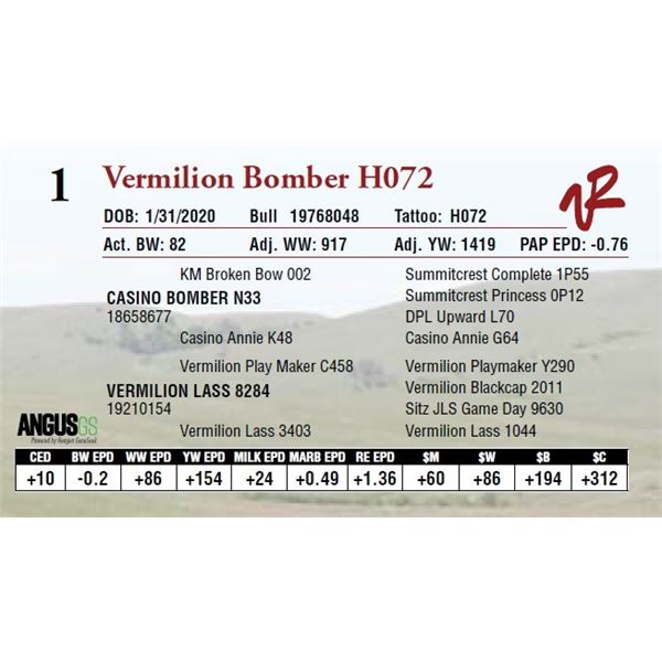 VERMILION BOMBER H072