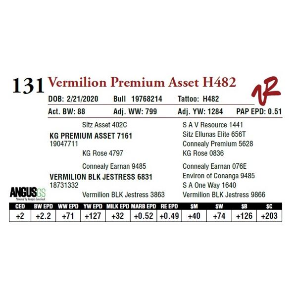 VERMILION PREMIUM ASSET H482