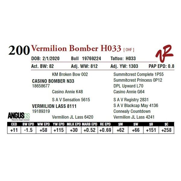 VERMILION BOMBER H033