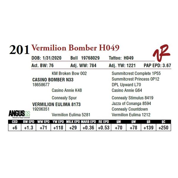 VERMILION BOMBER H049