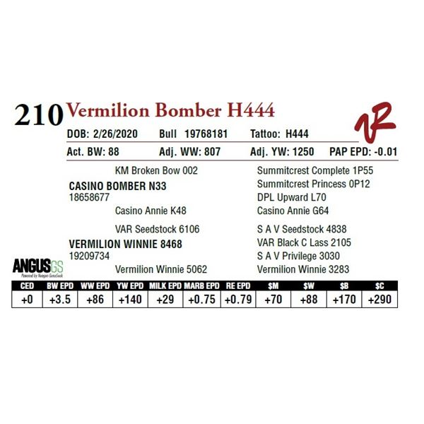 VERMILION BOMBER H444