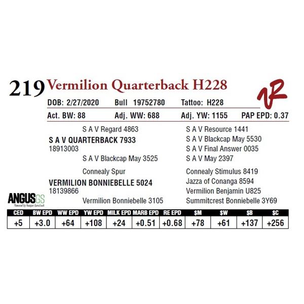 VERMILION QUARTERBACK H228