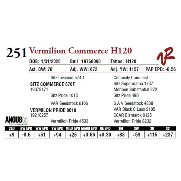 VERMILION COMMERCE H120