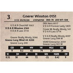 Gnerer Winston 0151