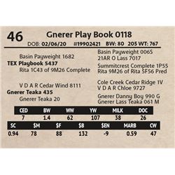 Gnerer Play Book 0118