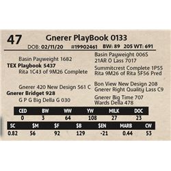 Gnerer PlayBook 0133