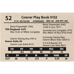 Gnerer Play Book 0132