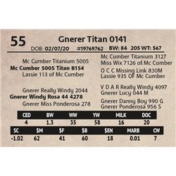 Gnerer Titan 0141