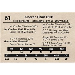 Gnerer Titan 0101