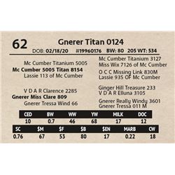 Gnerer Titan 0124