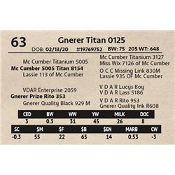 Gnerer Titan 0125