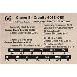 Gnerer B - Granite 4038-0151