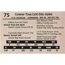 Gnerer True Grit 036-0240