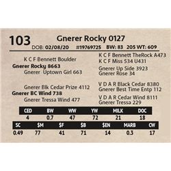 Gnerer Rocky 0127