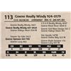 Image 1 : Gnerer Really Windy 924-0179