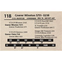 Gnerer Winston 5751- 0238