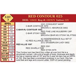 RED CONTOUR 025