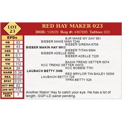 RED HAY MAKER 023