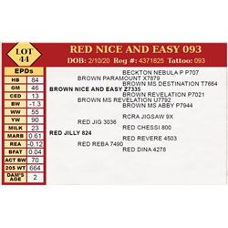 RED NICE AND EASY 093