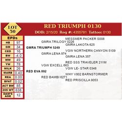 RED TRIUMPH 0130