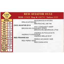 RED AVIATOR 0153