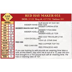 RED HAY MAKER 051