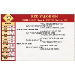 RED VALOR 096