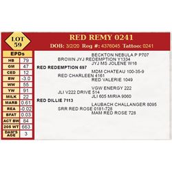 RED REMY 0241