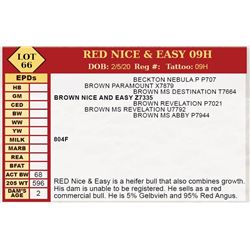 RED NICE & EASY 09H