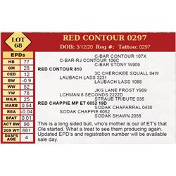 RED CONTOUR 0297