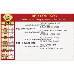 RED CON 0293