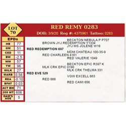 RED REMY 0283