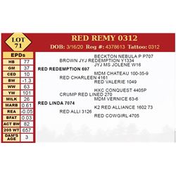 RED REMY 0312