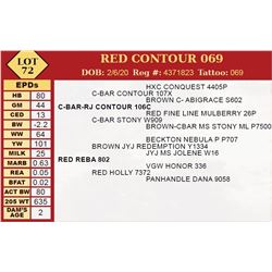 RED CONTOUR 069