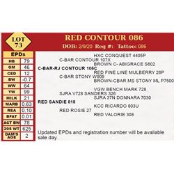 RED CONTOUR 086