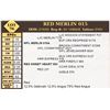 Image 1 : RED MERLIN 015