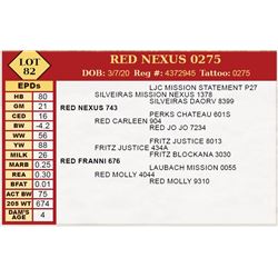 RED NEXUS 0275