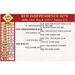 RED INDEPENDENCE 0276