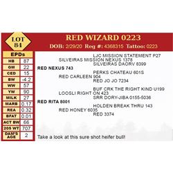 RED WIZARD 0223