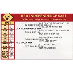 RED INDEPENDENCE 0281