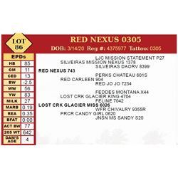 RED NEXUS 0305