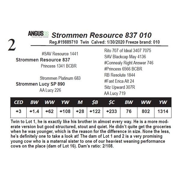 Strommen Resource 837 010