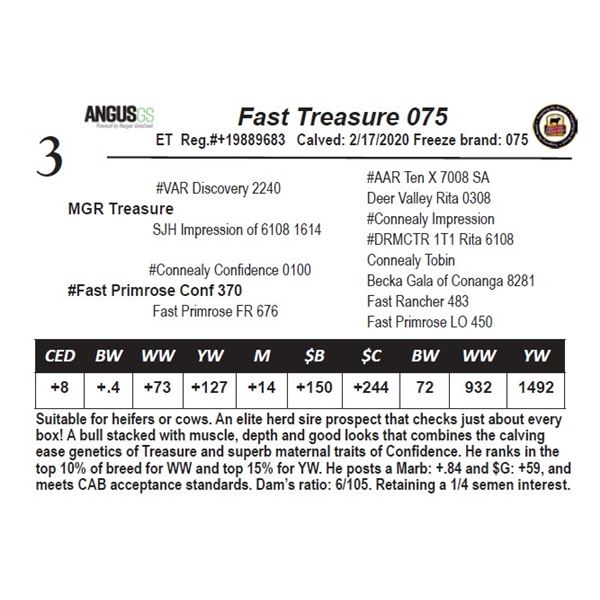 Fast Treasure 075ET