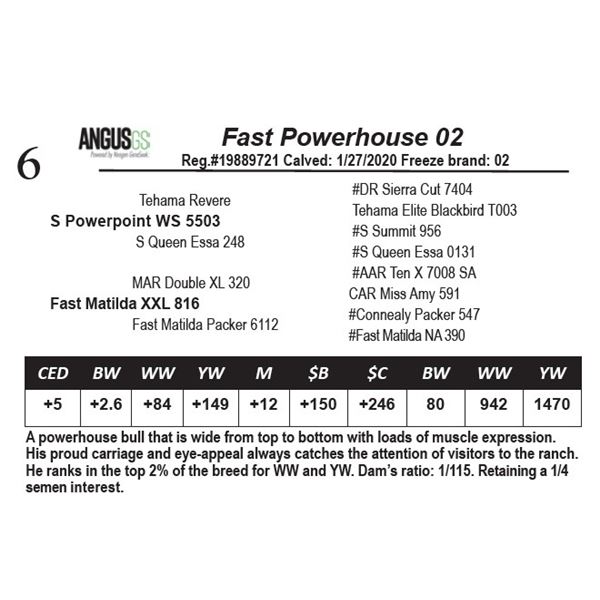 Fast Powerhouse 02