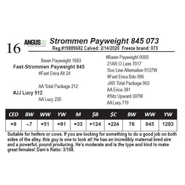 Strommen Payweight 845 073