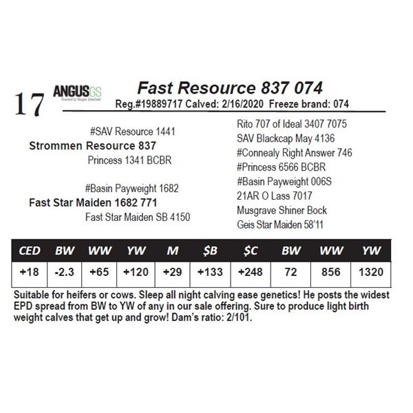 Fast Resource 837 074